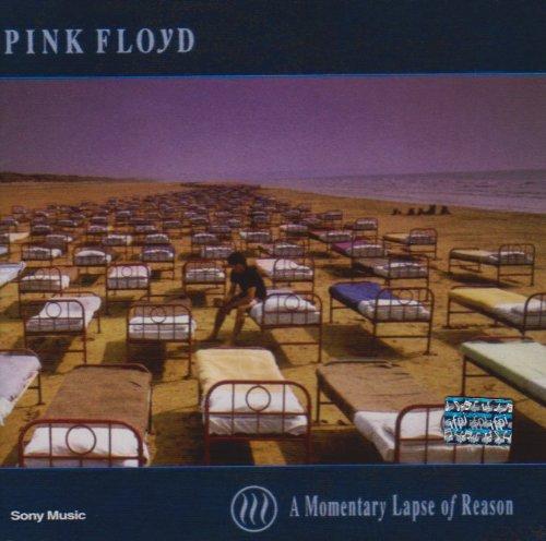 A Momentary Lapse of Reason