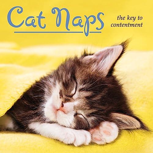 Cat Naps: The Key to Contentment