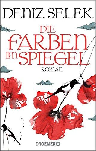 Die Farben im Spiegel: Roman