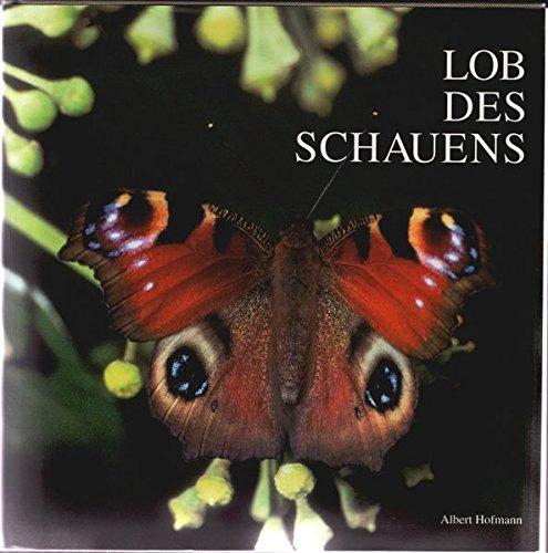 Lob des Schauens