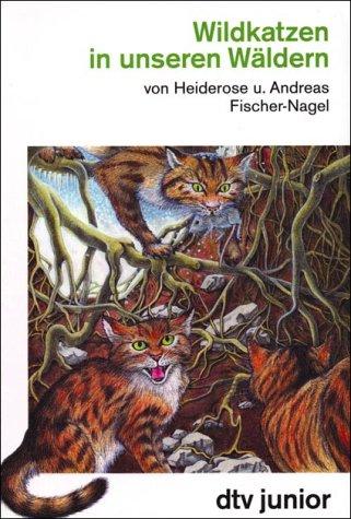 Wildkatzen in unseren Wäldern.