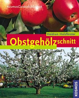 Obstgehölzschnitt