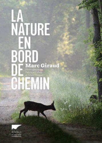 La nature en bord de chemin