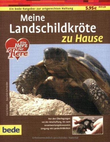 Landschildkröte, zu Hause