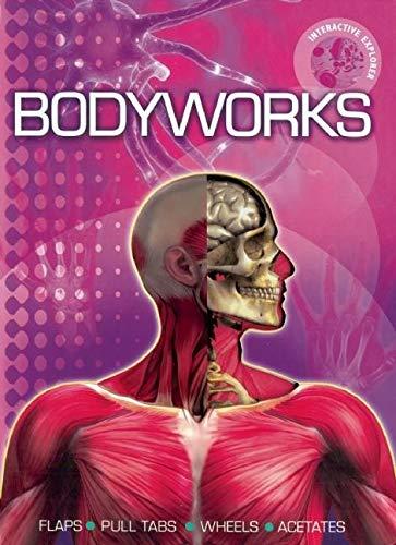 Interactive Explorer: Bodyworks