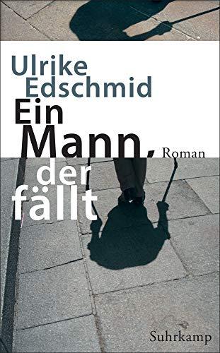 Ein Mann, der fällt: Roman (suhrkamp taschenbuch)