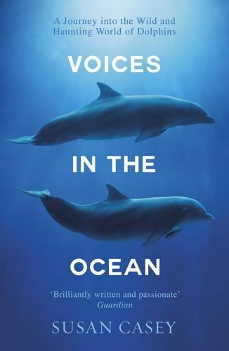 Voices in the Ocean: A Journey into the Wild and Haunting World of Dolphins