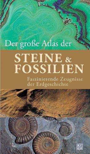 Der große Atlas der Steine & Fossilien. Faszinierende Zeugnisse der Erdgeschichte