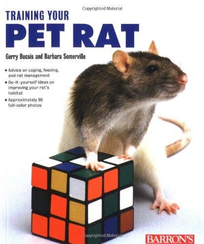 Training Your Pet Rat