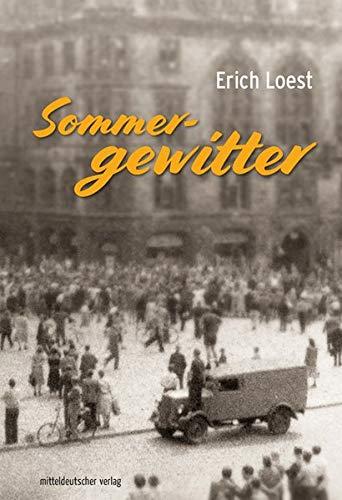 Sommergewitter: Roman