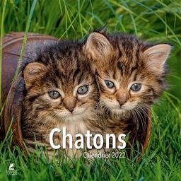 Chatons : calendrier 2022