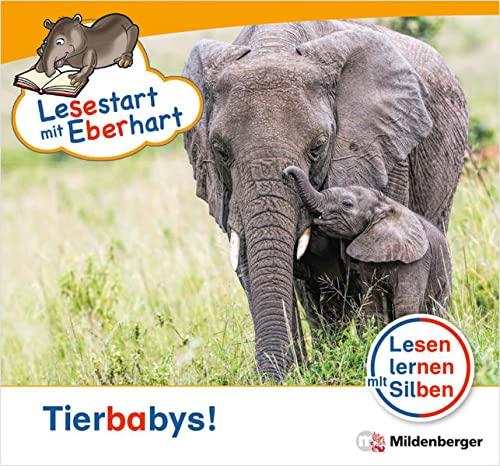 Lesestart mit Eberhart: Tierbabys!: Themenhefte für Erstleser, Lesestufe 1 (Lesestart mit Eberhart: Lesen lernen mit Silben - Themenhefte für Erstleser - 5 Lesestufen - je 10 Hefte)