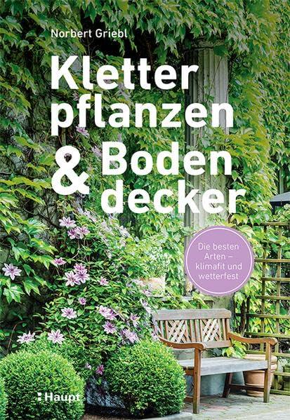 Kletterpflanzen und Bodendecker: Die besten Arten - klimafit und wetterfest