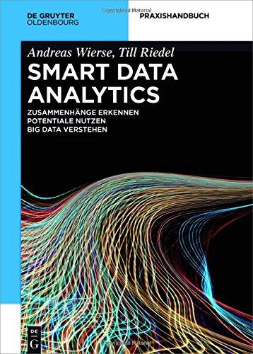 Smart Data Analytics: Mit Hilfe von Big Data Zusammenhänge erkennen und Potentiale nutzen (De Gruyter Praxishandbuch)