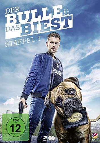 Der Bulle und das Biest - Staffel 1 [2 DVDs]