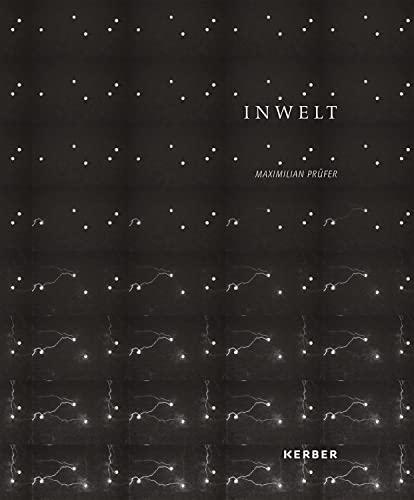 Maximilian Prüfer: Inwelt