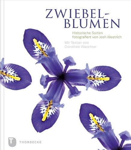 Zwiebelblumen - Historische Sorten fotografiert von Josh Westrich