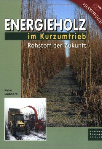 Energieholz im Kurzumtrieb: Rohstoff der Zukunft