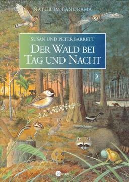 Der Wald bei Tag und Nacht: Natur im Panorama