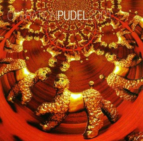 Operation Pudel 2001