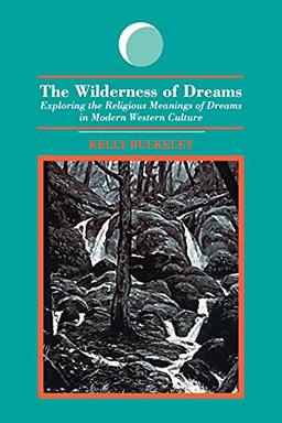 The Wilderness of Dreams: Exploring the Religious Meanings of Dreams in Modern Western Culture (S U N Y Series in Dream Studies)