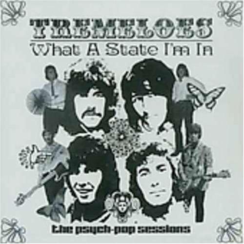 What a State I'M in (Psych-Pop