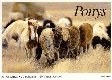 Ponys. 30 Postkarten /30 Postcards /30 Cartes Postales