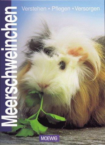 Meerschweinchen