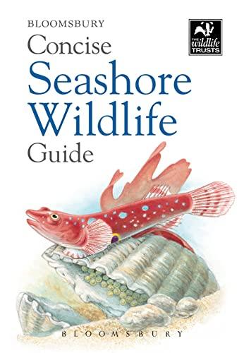 Concise Seashore Wildlife Guide (Concise Guides)