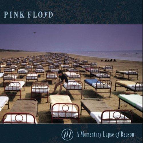 Momentary Lapse of Reason