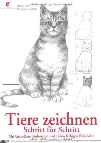 Tiere zeichnen: Mit Grundkurs Kolorieren und vielen farbigen Beispielen