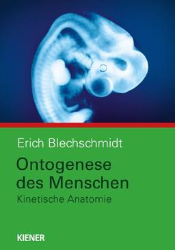 Ontogenese des Menschen: Kinetische Anatomie