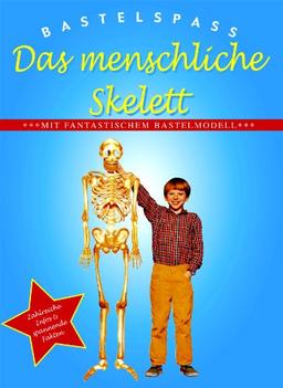 Bastelspaß Das menschliche Skelett