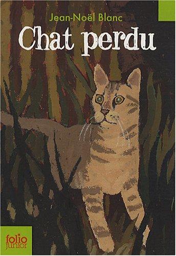 Chat perdu