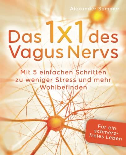 Das 1x1 des Vagus Nervs: Mit 5 einfachen Schritten zu weniger Stress und mehr Wohlbefinden