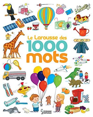 Le Larousse des 1.000 mots