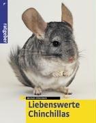 Liebenswerte Chinchillas