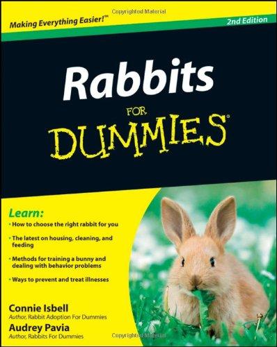 Rabbits for Dummies