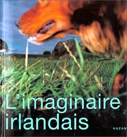 L'imaginaire irlandais aujourd'hui