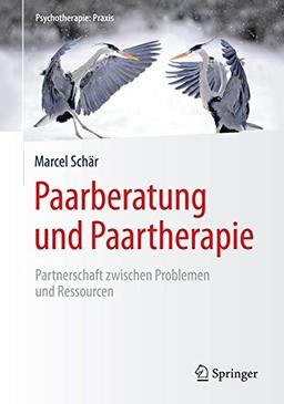 Paarberatung und Paartherapie: Partnerschaft zwischen Problemen und Ressourcen (Psychotherapie: Praxis)