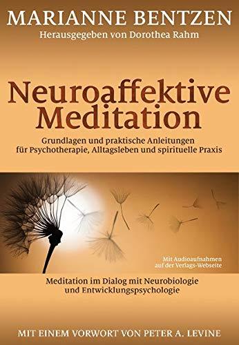 Neuroaffektive Meditation: Grundlagen und praktische Anleitungen für Psychotherapie, Alltagsleben und spirituelle Praxis