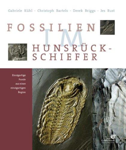 Fossilien im Hunsrück Schiefer: Einzigartige Funde aus einer einzigartigen Region