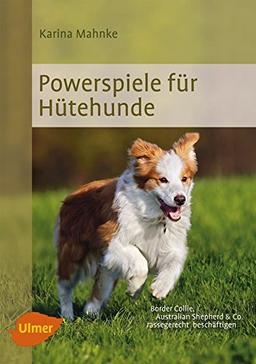 Powerspiele für Hütehunde: Border Collie, Australian Shepherd & Co. rassegerecht beschäftigen