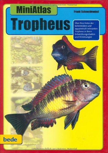 Tropheus, MiniAtlas