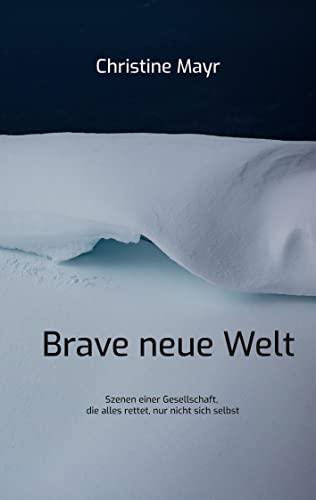 Brave neue Welt: Szenen einer Gesellschaft, die alles rettet, nur nicht sich selbst