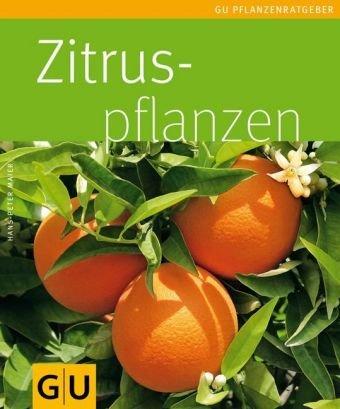 Zitruspflanzen (GU Pflanzenratgeber)