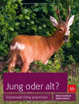 Jung oder alt?: Schalenwild richtig ansprechen