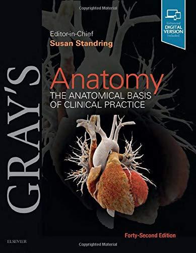 Gray's Anatomy: The Anatomical Basis of Clinical Practice