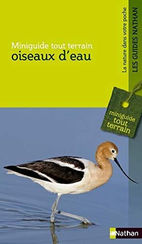 Oiseaux d'eau