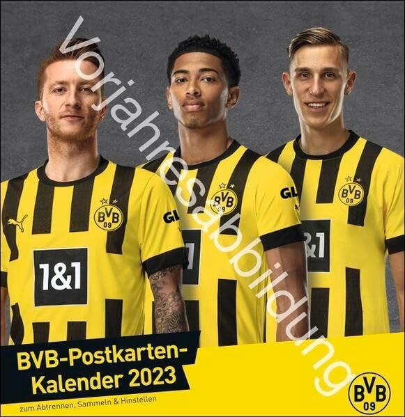 BVB Postkartenkalender 2024. Kleiner Kalender für große Fans: Die Stars von Borussia Dortmund in einem Tischkalender zum Aufstellen oder Aufhängen. Jeden Monat eine Spieler-Postkarte.